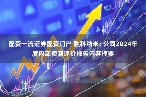 配资一流证券配资门户 胜科纳米: 公司2024年度内部控制评价报告内容摘要