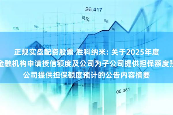 正规实盘配资股票 胜科纳米: 关于2025年度公司及子公司拟向金融机构申请授信额度及公司为子公司提供担保额度预计的公告内容摘要