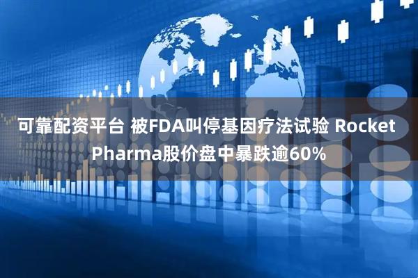 可靠配资平台 被FDA叫停基因疗法试验 Rocket Pharma股价盘中暴跌逾60%